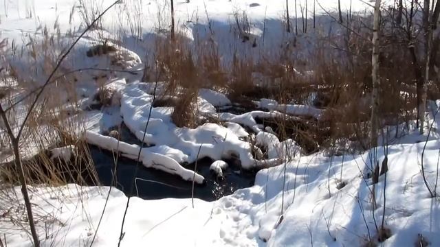 Зимний ПВД город Шостка