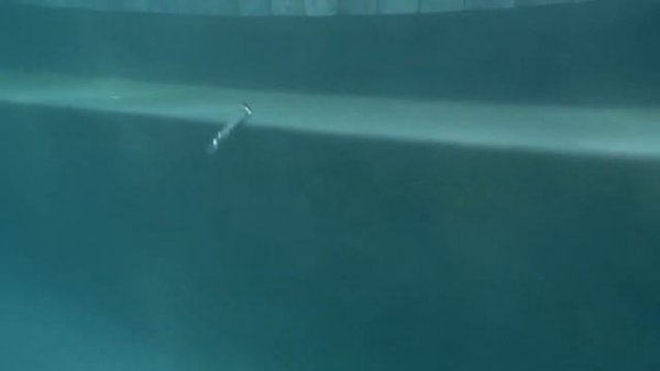 Воблеры с Алиэкспресс игра под водой - Lucky Craft Pointer 128SP