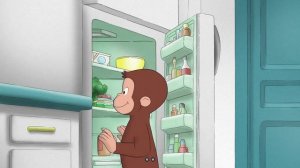 Curious George - 334 - Y'Orchid-ing Me (Learn English Language with subtitles)