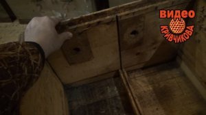 Видео Кривчикова. Выбор конструкции улья.