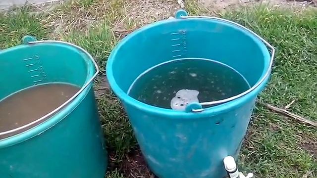 АТ16 Обработка овощных культур от бактериозов и грибковых заболеваний биопрепаратами