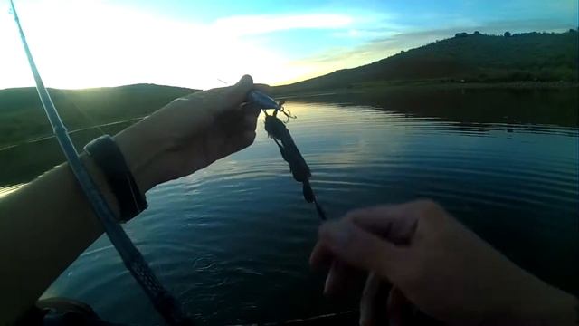Picadon De Un Buen Bass En Superficie Al Hélice Duel Silver Prop 60