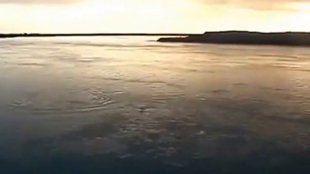 Жерех на мушку смотреть онлайн