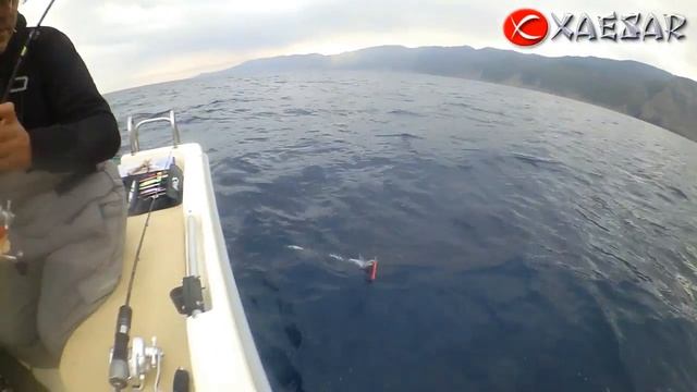 Slow Jigging | Xaesar RIARU Jig #17 | Sabre Fish