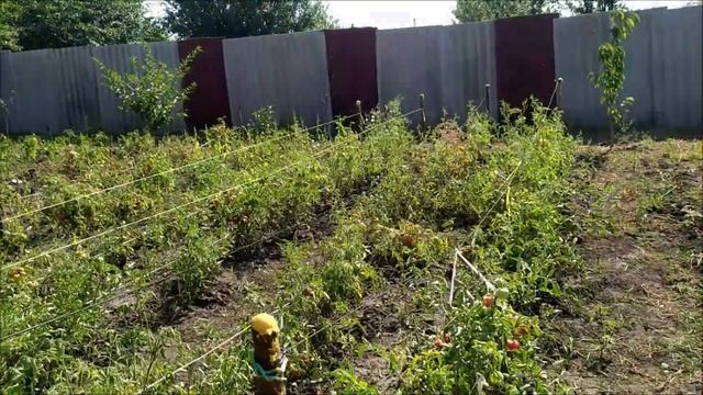 Благоустройство дачи, после покупки участка. Наводим там порядок. смотреть онлайн