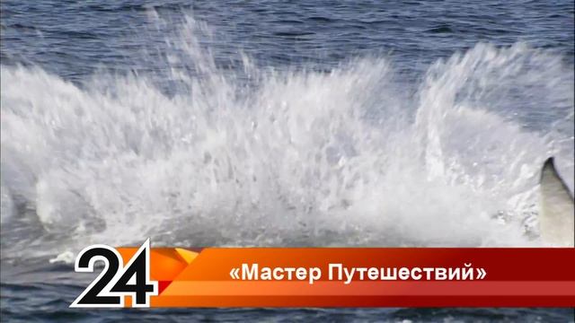 Мастер путешествий смотреть онлайн