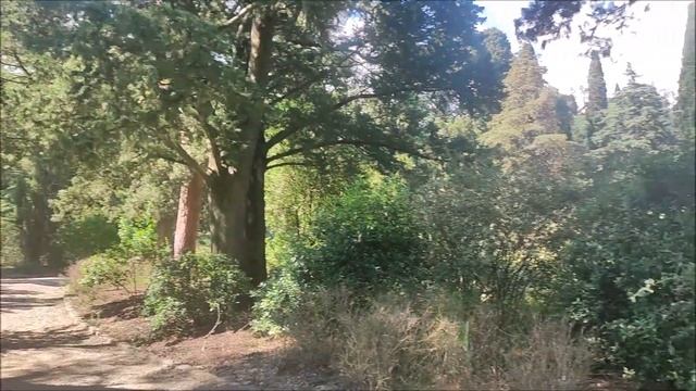 Крым Ялта Массандровский парк смотреть онлайн