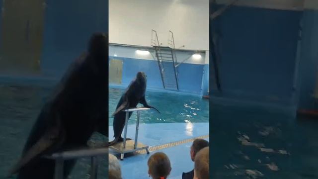 ??? смотреть онлайн