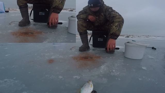 ОТКРЫТИЕ СЕЗОНА ПОДЛЁДНОЙ РЫБАЛКИ! ЧУТЬ НЕ ПРОВАЛИЛСЯ . смотреть онлайн