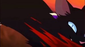 коты воители бич