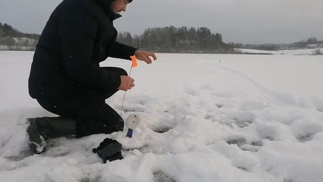 рыбалка на флажки смотреть онлайн