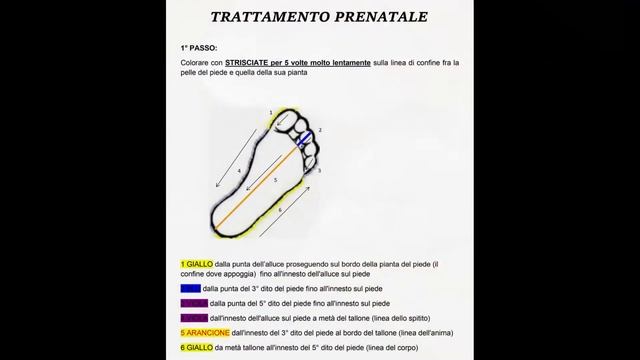 ANTEPRIMA CORSO DI CROMOPUNTURA смотреть онлайн