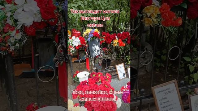 Как выглядит могила Виктора Цоя сейчас? #викторцой #цой #цойжив #певец #гений #рекомендации