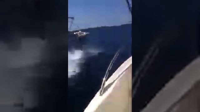 Fisher 20 Deck