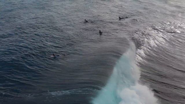 Hagatna Boat Basin - Surf's High смотреть онлайн