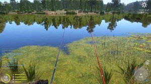 Уклейка ерш и лягушка на Комариное Русская рыбалка 4 / РР4 / Sanych