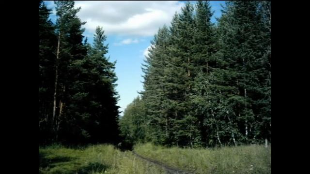 David Foster - After The Love Has Gone смотреть онлайн