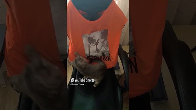 Кот сломался 🤣🤣🤣 #shorts смотреть онлайн