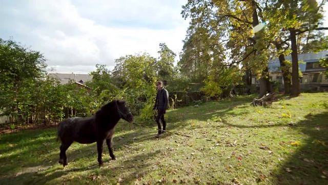 SWAP: UK/Ukraine. Adam J B Walker смотреть онлайн