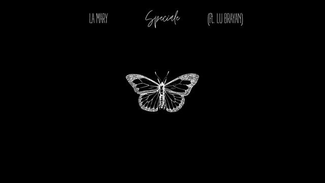Speciale (Brayan & Mary) смотреть онлайн