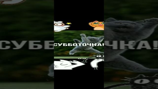 Субботочка💕💯🥰👍🤣 смотреть онлайн