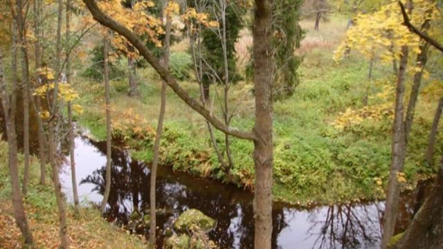 E. Nesterenko, bass - Razboynika blagorazumnago (L. Dinev) смотреть онлайн