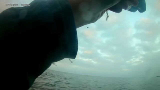 Emerson Point Snook 12 9 18 смотреть онлайн