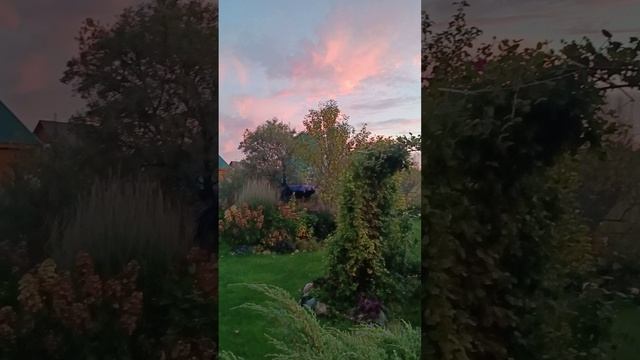 Осень. Сад. Закат. смотреть онлайн