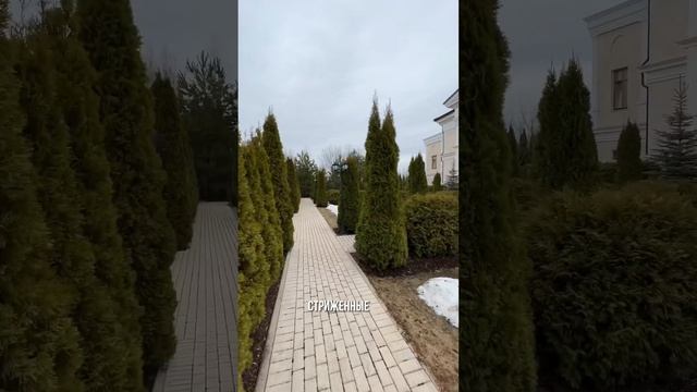 ВЕЧНО ЗЕЛЕНЫЙ ЛАНДШАФТ НА НОВОЙ РИГЕ #новаярига #элитнаянедвижимость #резиденциямонолит #newrigaman смотреть онлайн