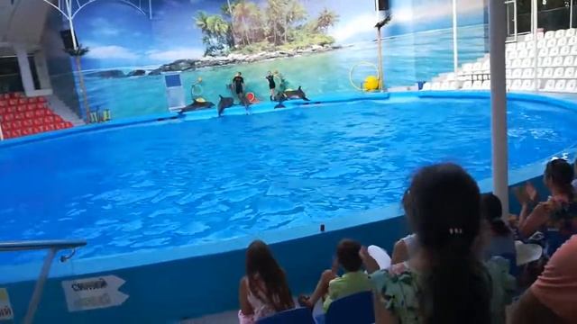 Алуштинский дельфинарий Nemo. Финал представления. смотреть онлайн