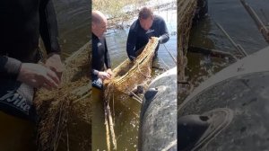 Рыбалка, вентерями, помогай не стой!