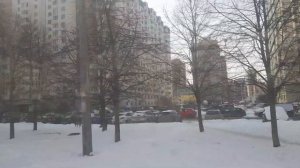 Автобус 125. Ст. м. Старая Деревня - Ст. м. Старая Деревня (Кольцевой)