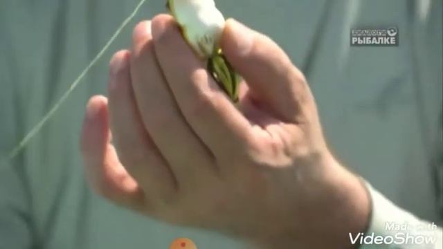 Ловля змея голова смотреть онлайн