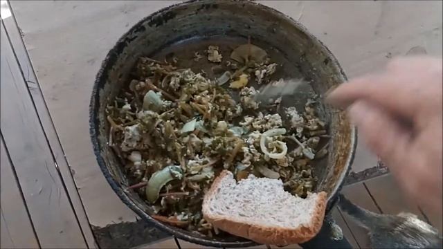 Коты тестируют портулак.Реакция. смотреть онлайн