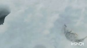 ЭТО ЛУЧШАЯ БЛЕСНА НА ОКУНЯ!!! РЫБАЛКА НА ВОДОХРАНИЛИЩЕ! ОКУНЬ НА МАРАПЕТКУ!!!