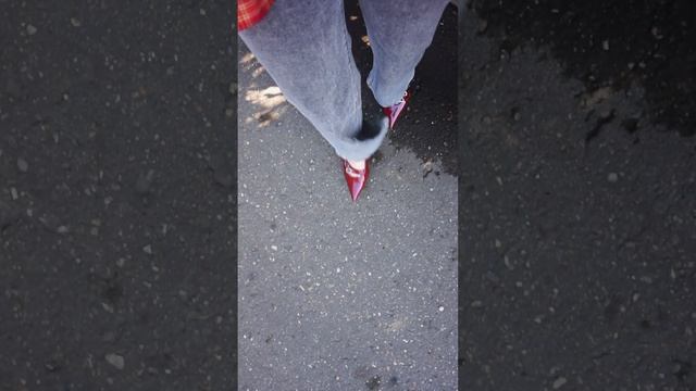 Образ на осень • Сумка с WB, OZON • Аутфит