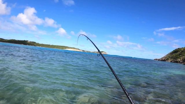 Antigua fishing from the beach 🏖 Big barracuda смотреть онлайн
