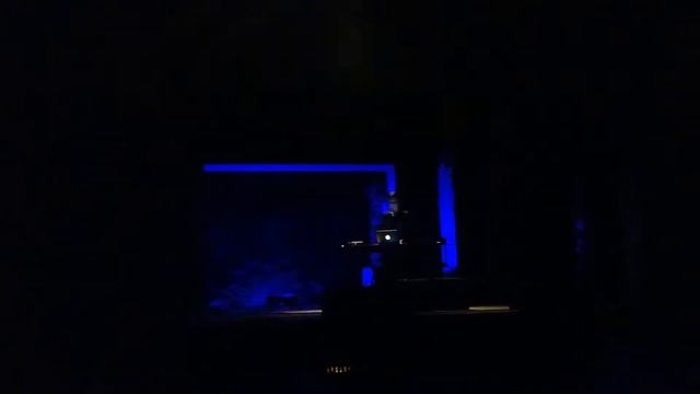 Anushka Chkeidze- Live In Rustaveli Theatre 12-09-2019 смотреть онлайн