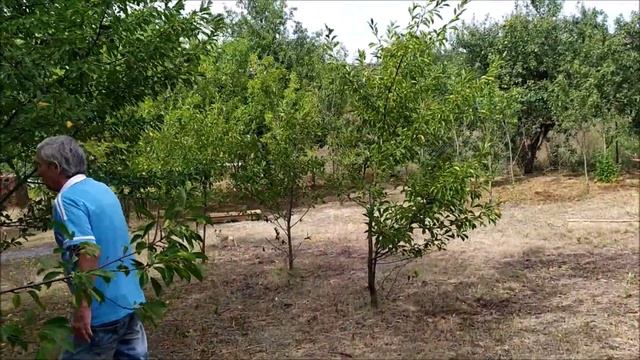 Шашлык на дачи с братом. В праздник флага России. смотреть онлайн