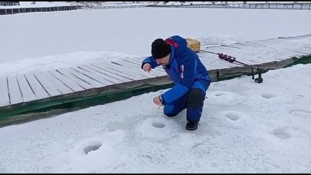 Сытый Кот смотреть онлайн