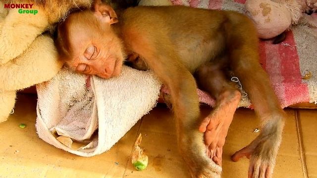 Poor baby Axel sleeping for long time, Axel wake up much hungry смотреть онлайн