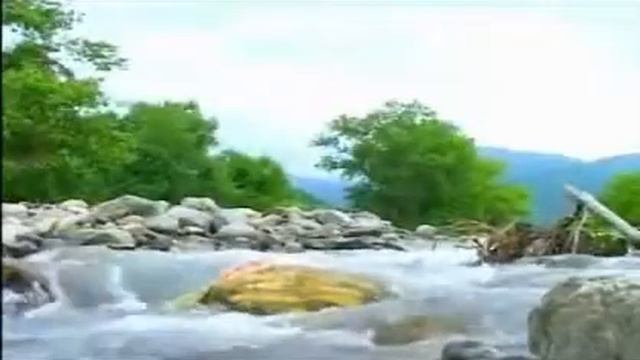 Yalcin Rzazade 2020 Elnur Efetli ince belim mp3) смотреть онлайн
