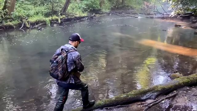 Рыбалка на форель в конце августа смотреть онлайн