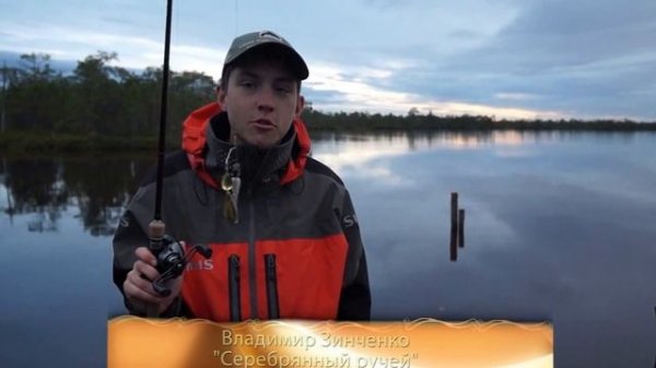 Щука на спиннербейт