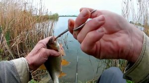 Рыбалка - карась плотва.