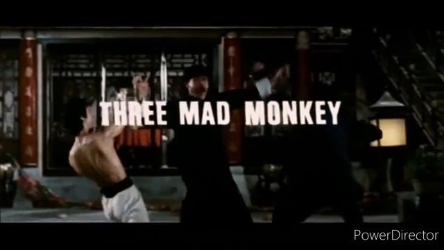 crazy kung fu monkey and angela mao kung fu💪💪💪💪💪💪 смотреть онлайн