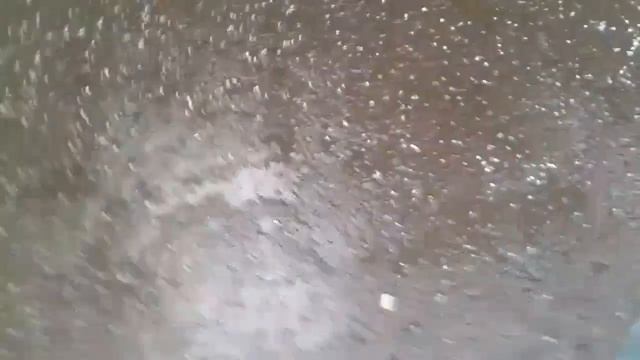 Град Град в городе Семей это ужасно смотреть онлайн