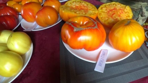 Большая дегустация сортовых томатов №1 Big tasting of varietal tomatoes