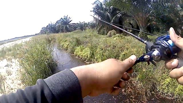 Test rell bc abu garcia blue max смотреть онлайн