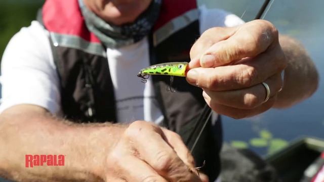 Surface Poppers for summertime Bass. смотреть онлайн